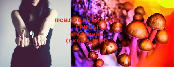 кокс Алексин