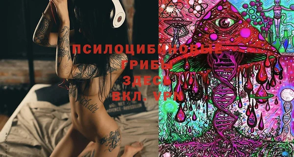 кокс Алексин