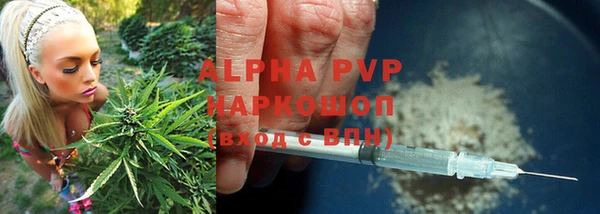 бошки Алзамай