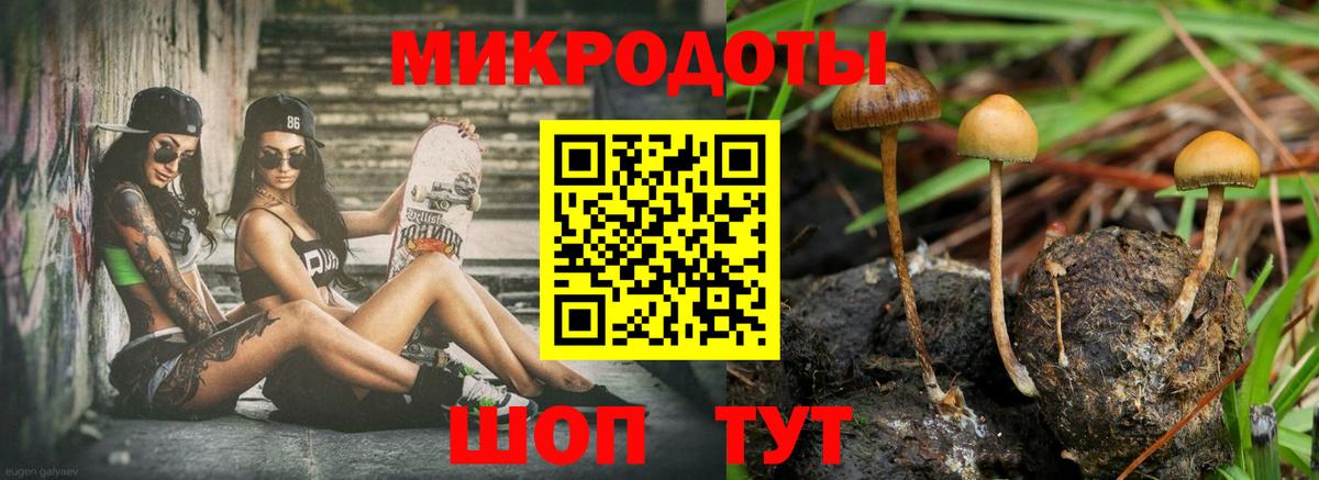 Псилоцибиновые грибы мицелий  Вход с VPN  сколько стоит  Кулебаки 